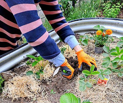 Taf der offenen Gartenpforte