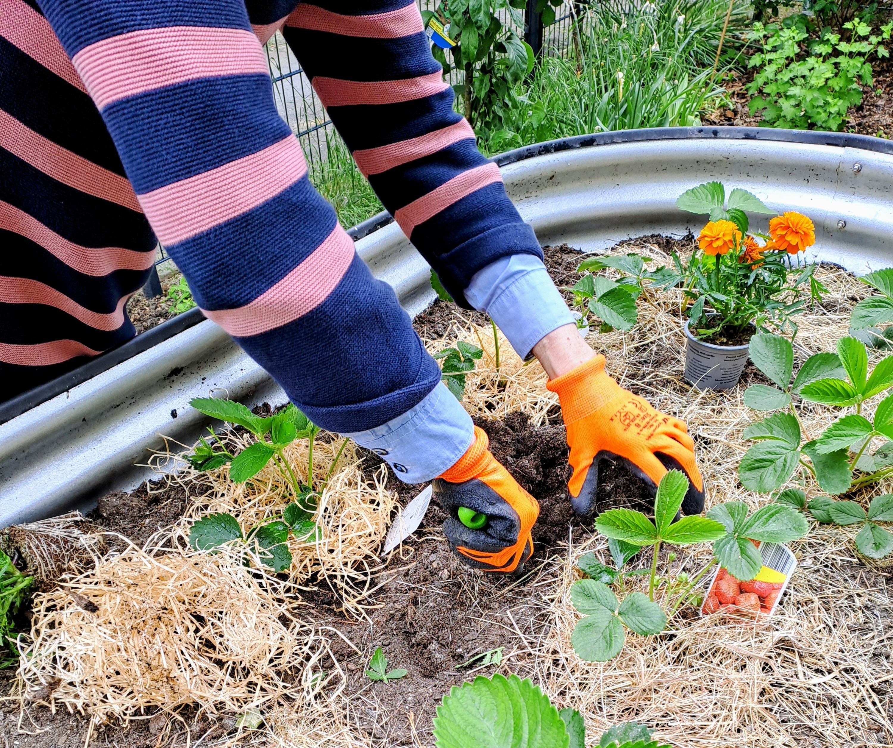 Taf der offenen Gartenpforte